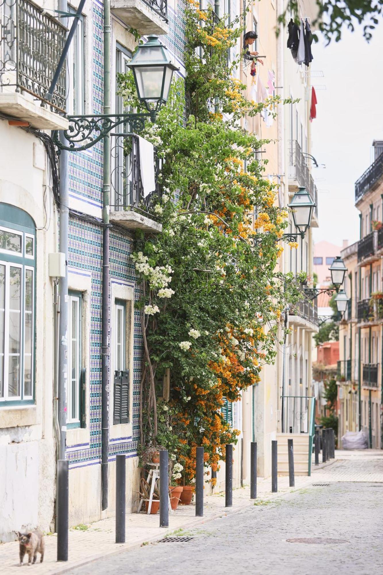 Bica Little House Lejlighed Lisboa Værelse billede
